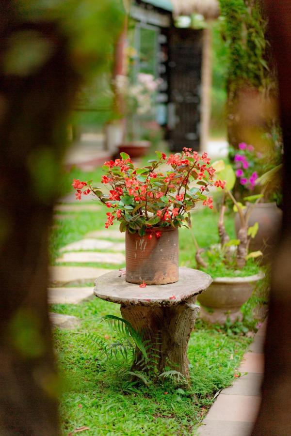 Phong Nha Tuan Garden House Exterior foto